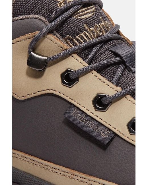 Timberland Brown Field Trekker Trainer for men