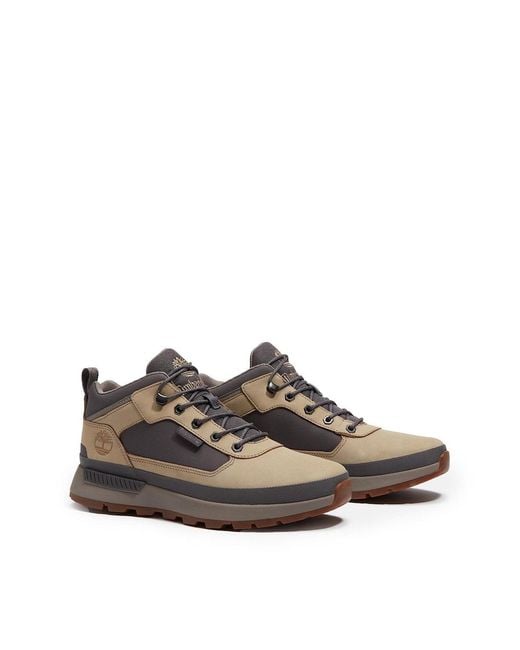 Timberland Brown Field Trekker Trainer for men
