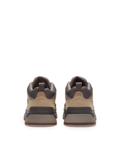 Timberland Brown Field Trekker Trainer for men