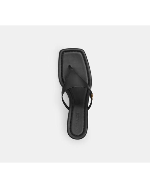 COACH Heritage C Plaque Thong Sandal in Black | Lyst UK