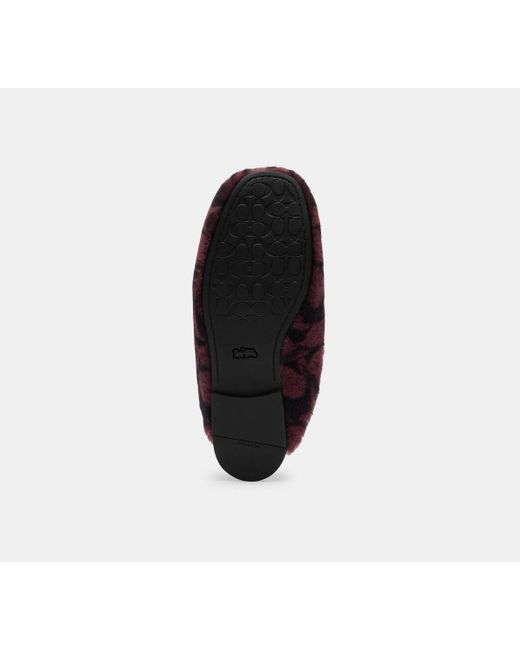 COACH Black Slipper