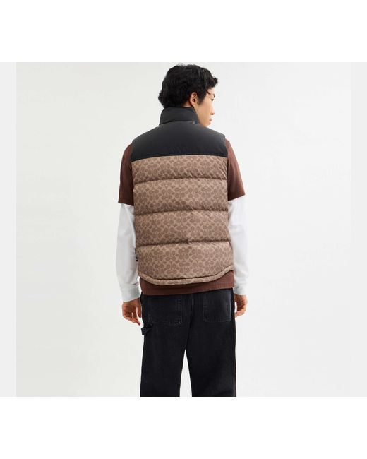 Chaleco de plumas de firma en poliéster reciclado COACH de hombre de color Black