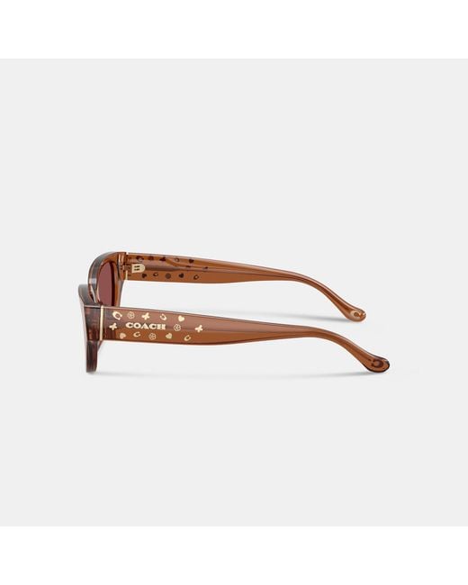 COACH Brown Charms Narrow Rectangle Sunglasses