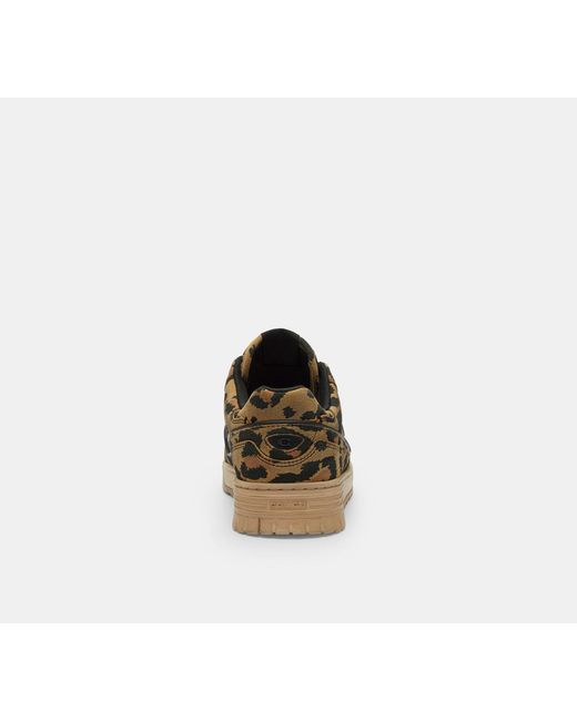 COACH Black Soho Sneaker With Leopard Print
