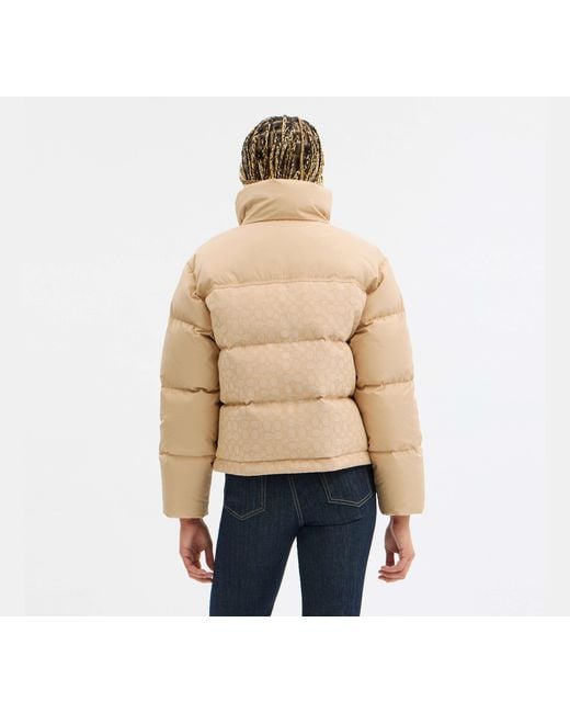 COACH Black Signature Down Jacket