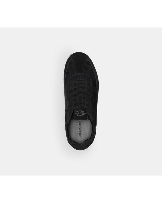 COACH Black Soft Sneaker