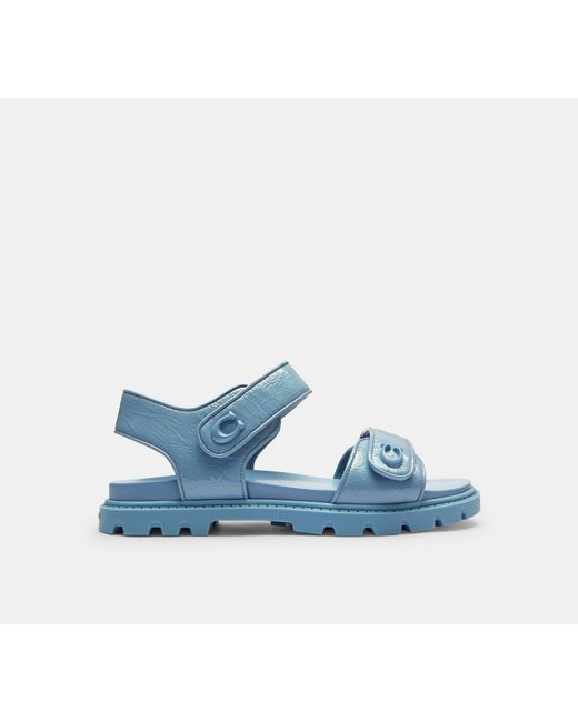 COACH Blue Brynn Sandal