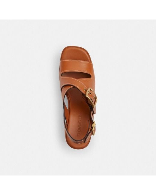 COACH Archival Buckle Wedge Platform in Brown | Lyst