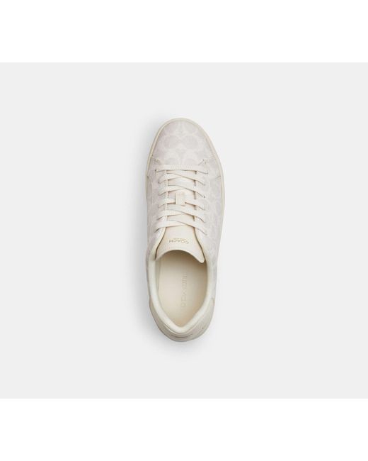 COACH Black High Line Sneaker