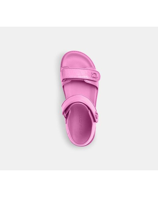 COACH Black Brynn Sandal