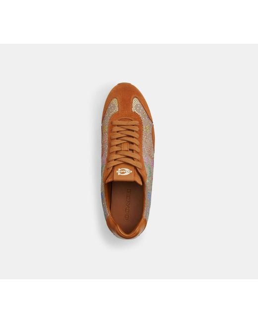 COACH Brown Flacher Sneaker