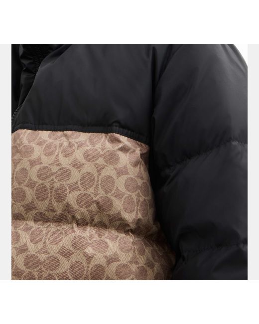 COACH Black Signature Down Jacket for men