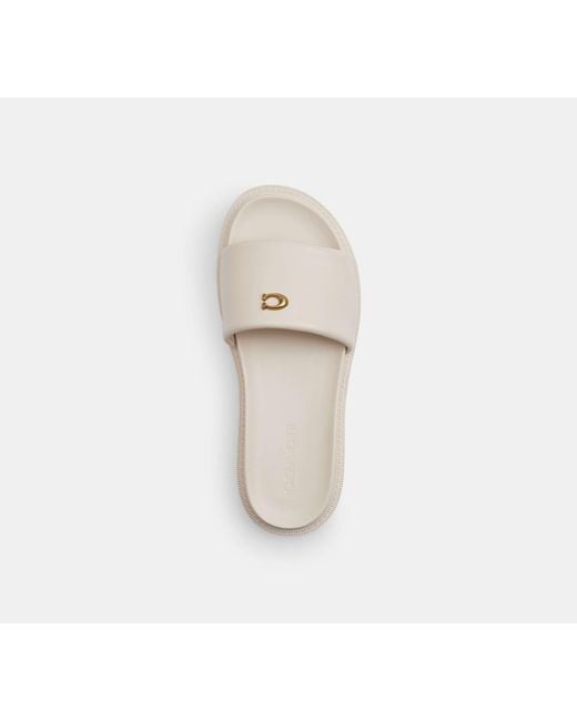 COACH Black Brynn Slide Sandal
