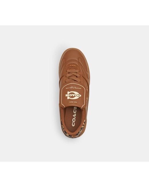 COACH Brown Match Sneaker With Leopard Print
