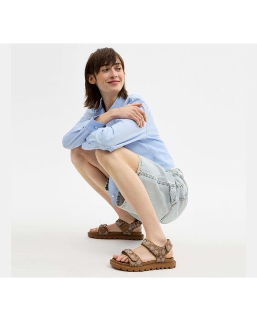 COACH Black Brynn Sandal
