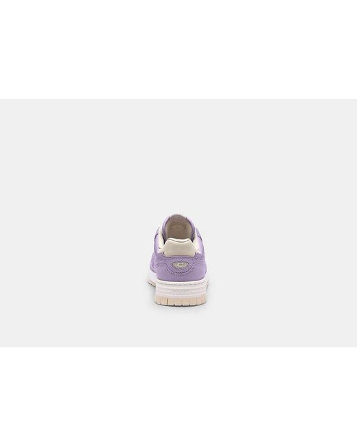 Baskets Soho COACH en coloris Black