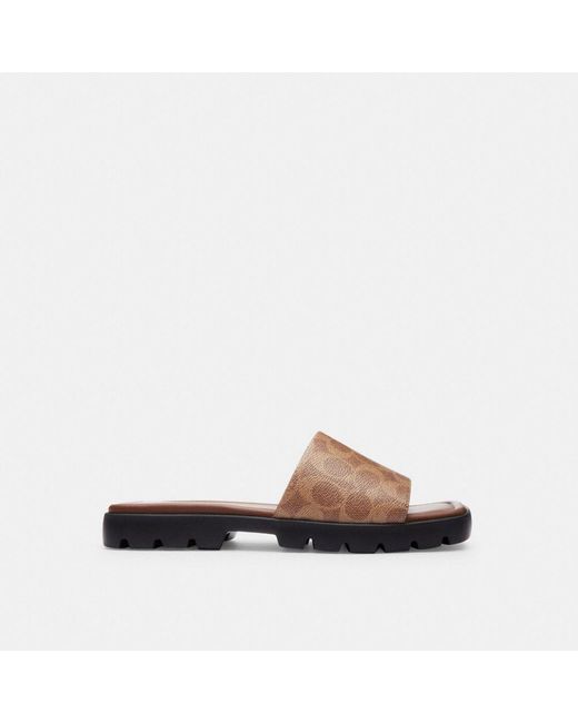 COACH Brown S Florence Sandal In Signature