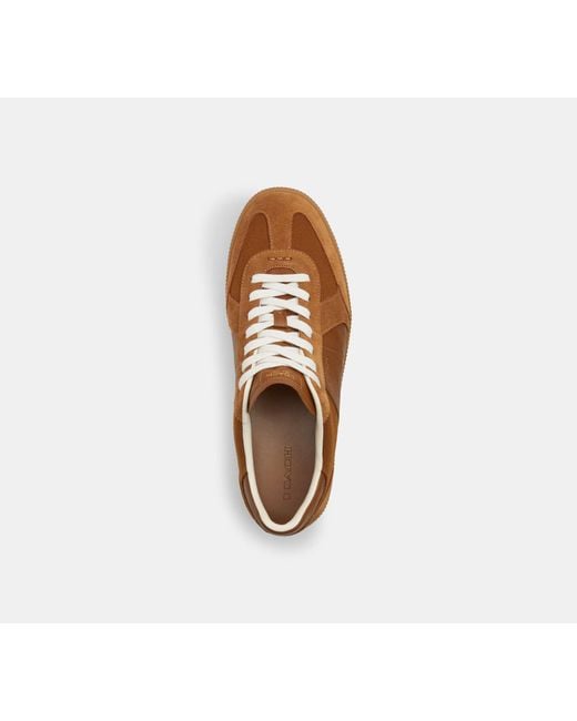 COACH Brown Ellis Sneaker for men