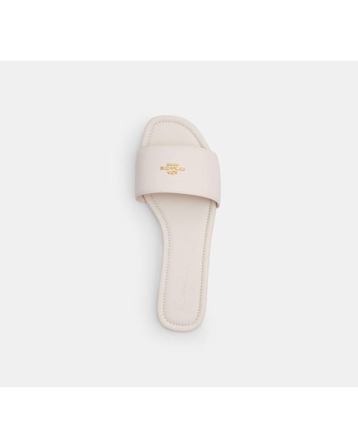 COACH Black Slide Sandal