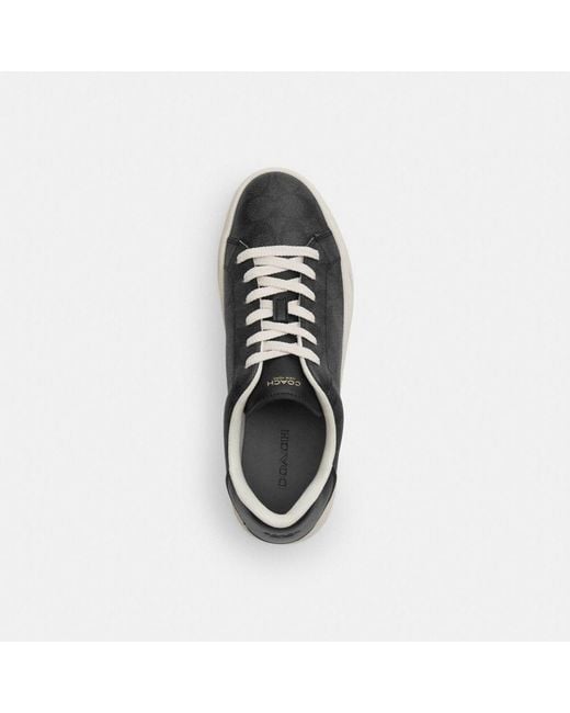 COACH Black High Line Sneakers