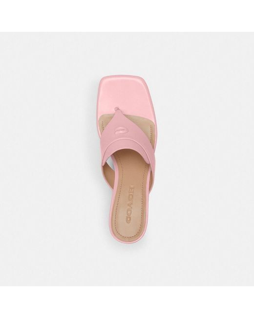 COACH Pink Bree Sandal