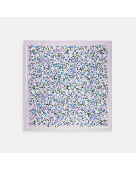 COACH Blue Floral Print Silk Square Scarf