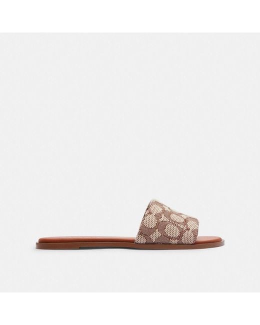 COACH Brown Holly Sandal In Signature Textile Jacquard