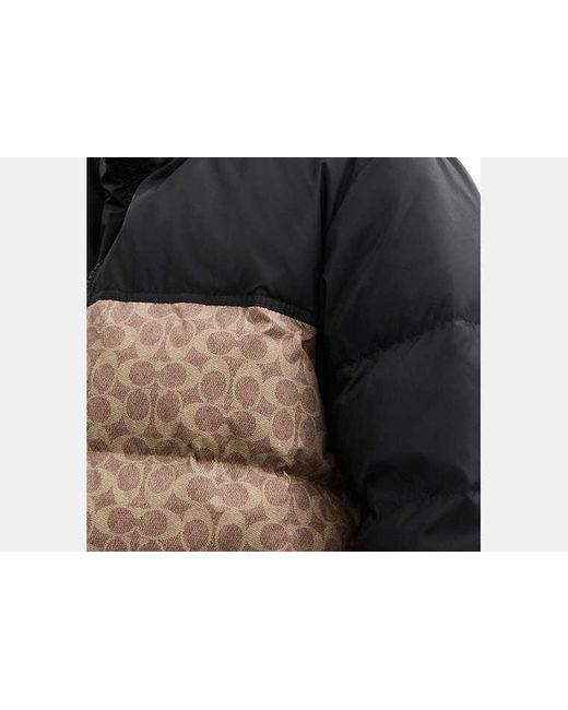 COACH Black Signature Down Jacket for men