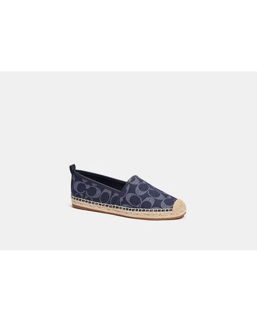 Alpargatas store coach mujer