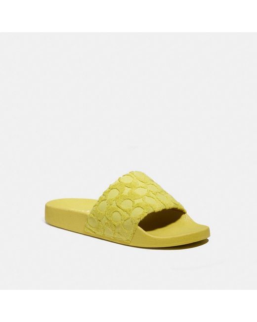 coach terry cloth sandals