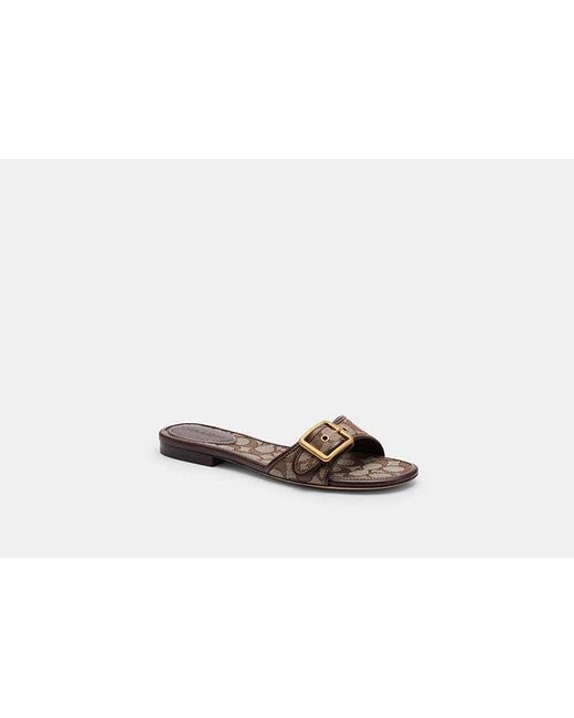 COACH Black Margot Flat Sandal