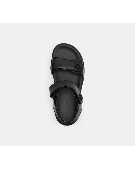 COACH Black 'Brynn' Sandals