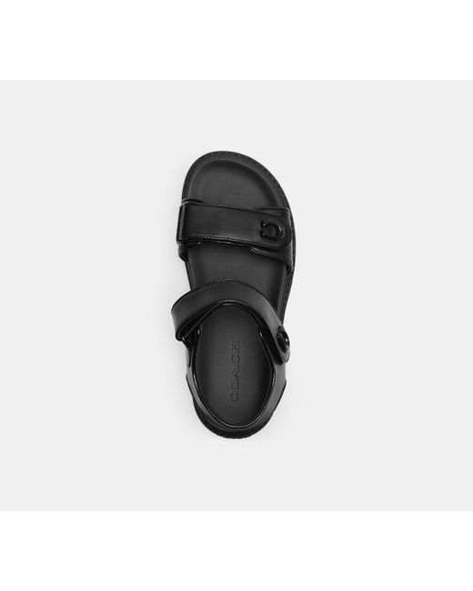 Sandalo Brynn di COACH in Black