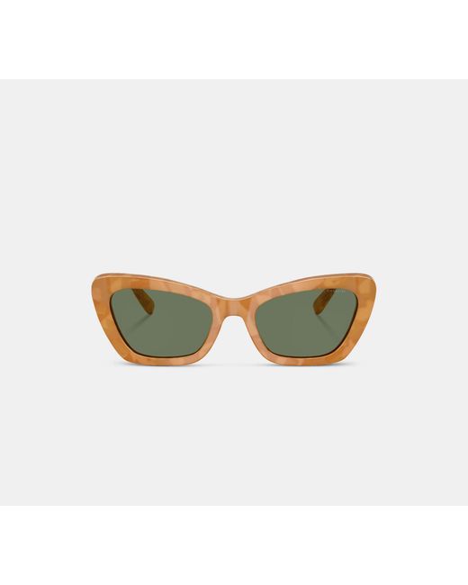 COACH Black Wire Cat Eye Sunglasses