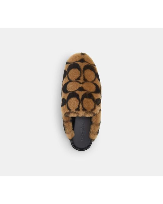 COACH Black Slipper