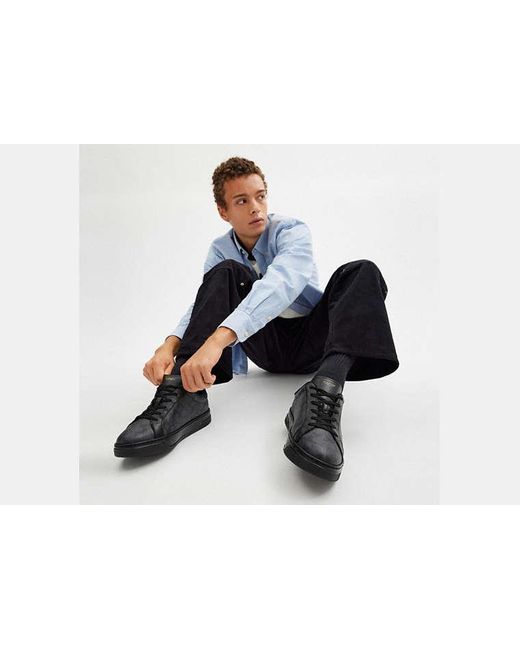 Chaussure de sport basse Lowline COACH pour homme en coloris Black