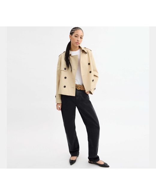 COACH Black Short Trench Coat