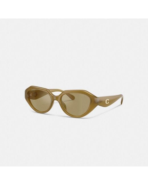 COACH Green C Hardware Geometric Sunglasses