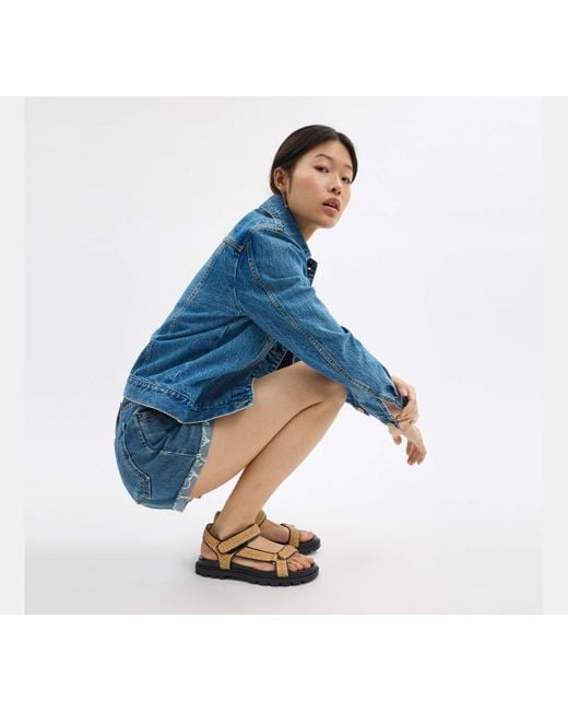 COACH Black Sport Sandal