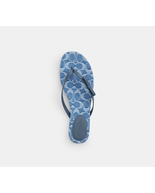 COACH Black Bow Flip Flop