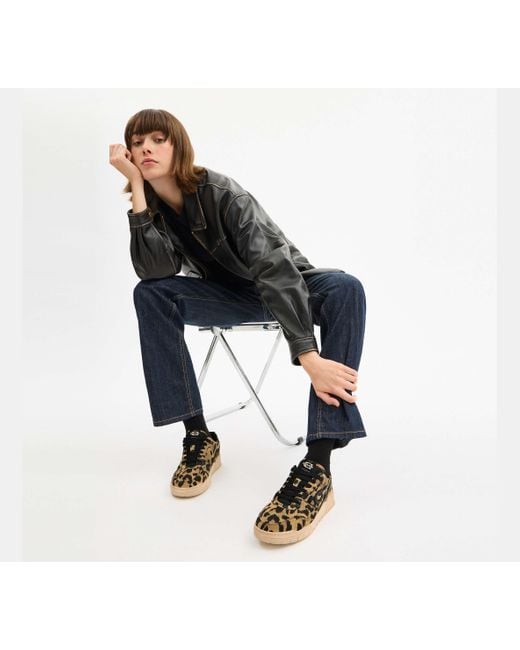 Scarpa Da Ginnastica Soho Con Stampa Leopardata di COACH in Black