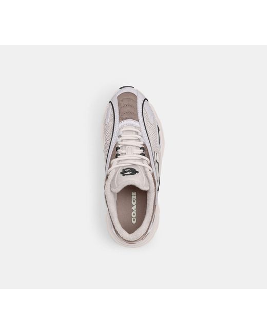 COACH Black Bolt Runner Sneaker