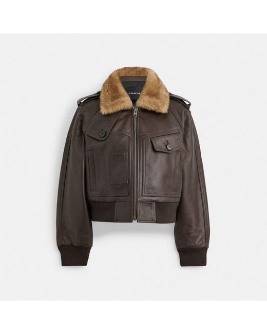 COACH Brown Cropped Leather Jacket
