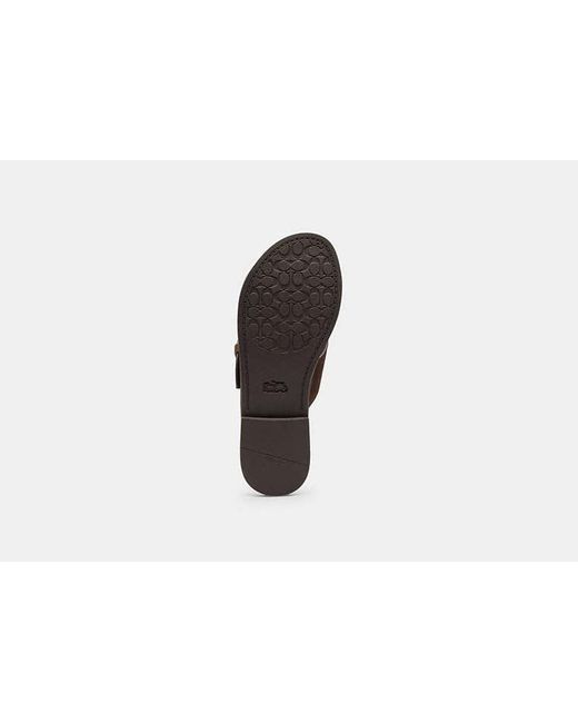 COACH Black Crisscross Buckle Sandal