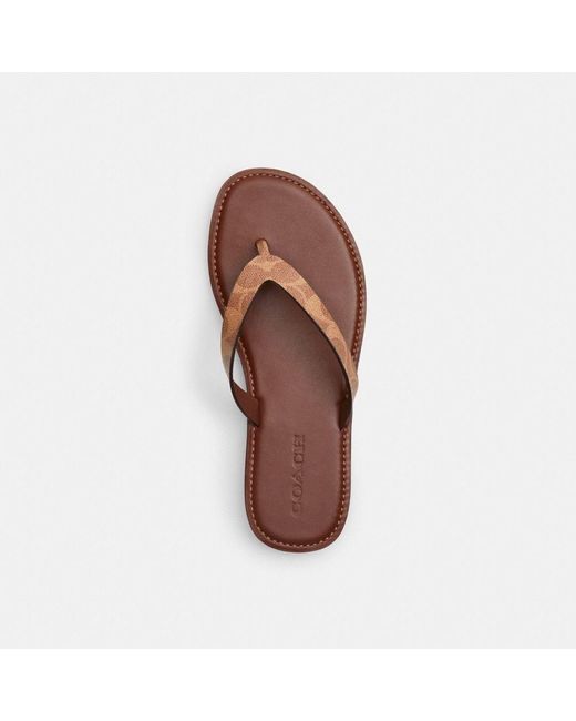COACH Brianna Coated Canvas Flip Flop Brown 6 B | Lyst display picture 1