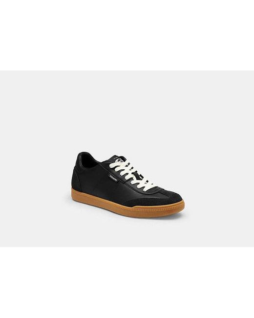 Scarpa Da Ginnastica Brady di COACH in Black