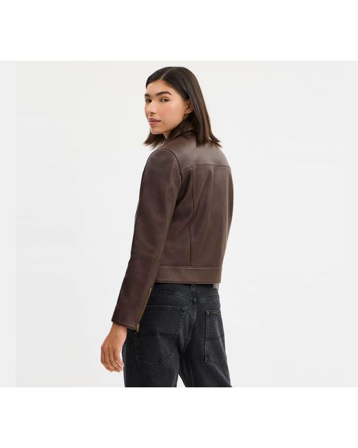 Giacca di COACH in Black