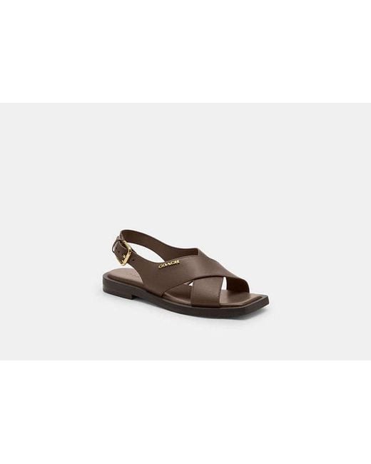 COACH Black Link Criss Cross Sandal