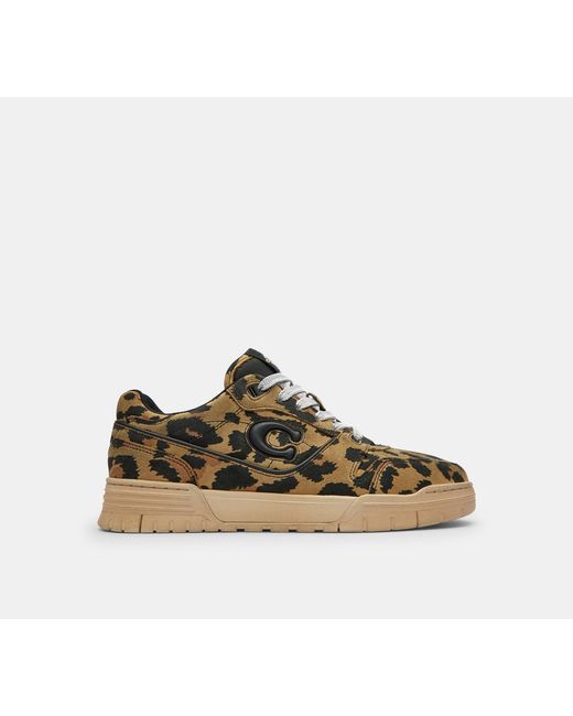 COACH Black Soho Sneaker With Leopard Print