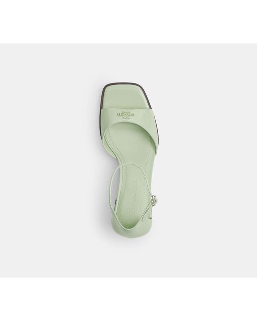 COACH Black Block Heel Sandal